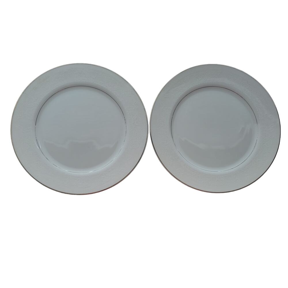 Vintage Lace Bouquet Salem China Company Etched Dinner Plate Platinum Trim Set 2